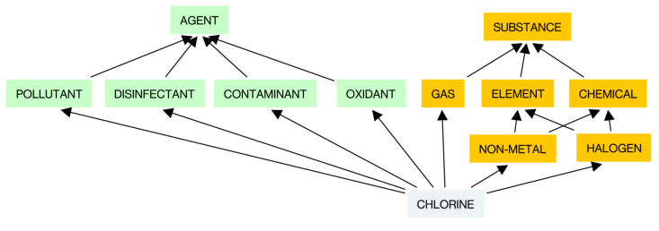 Figure 35. CHLORINE’s superordinate concepts candidates organized in a hierarchy